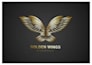 logo designer and web developer expert
